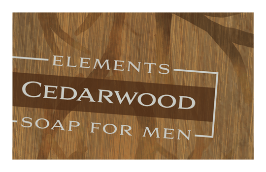 ELEMENTS SOAP FOR MEN